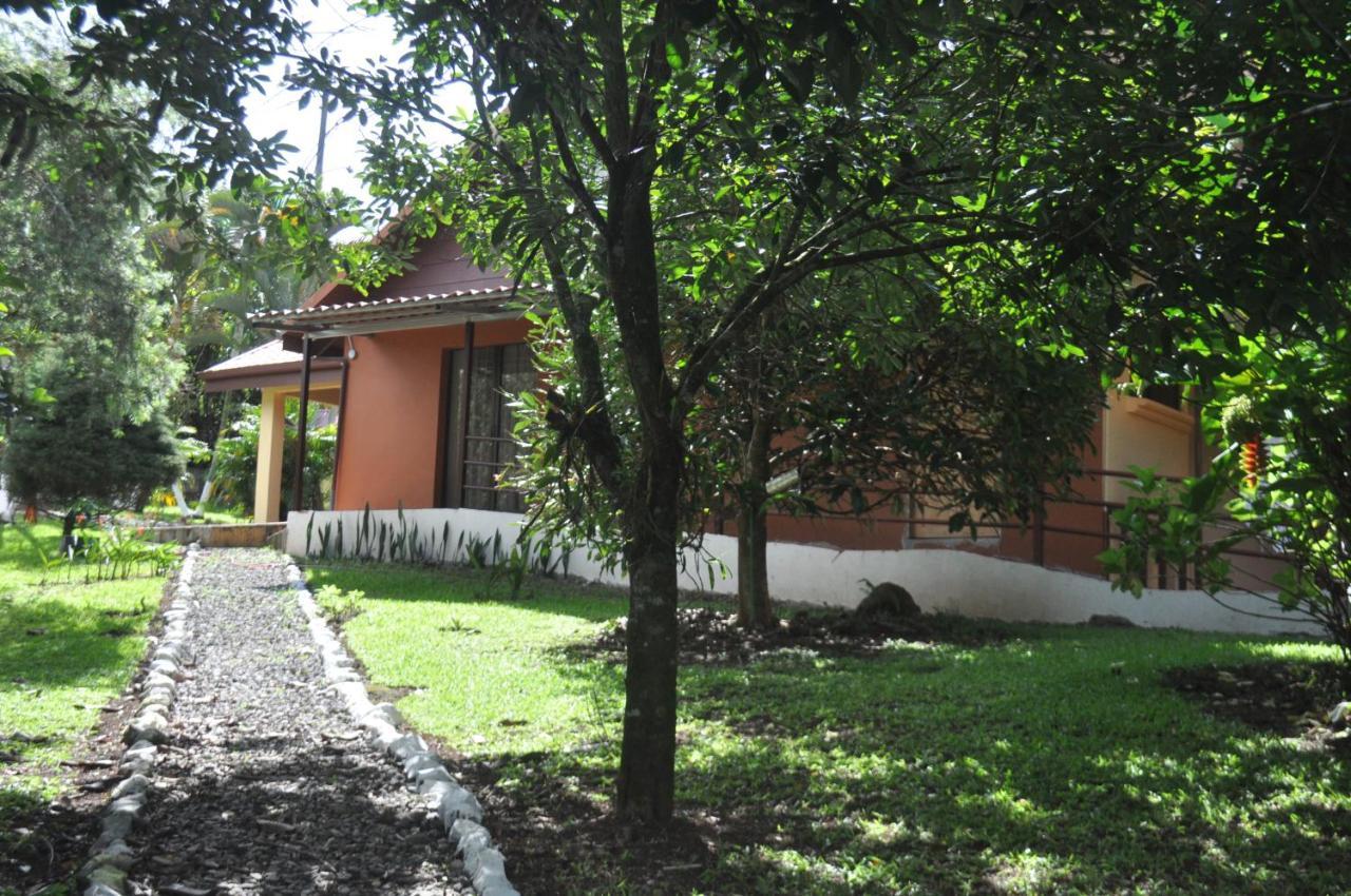 Hospedaje Amanecer Bed & Breakfast Turrialba Exterior photo