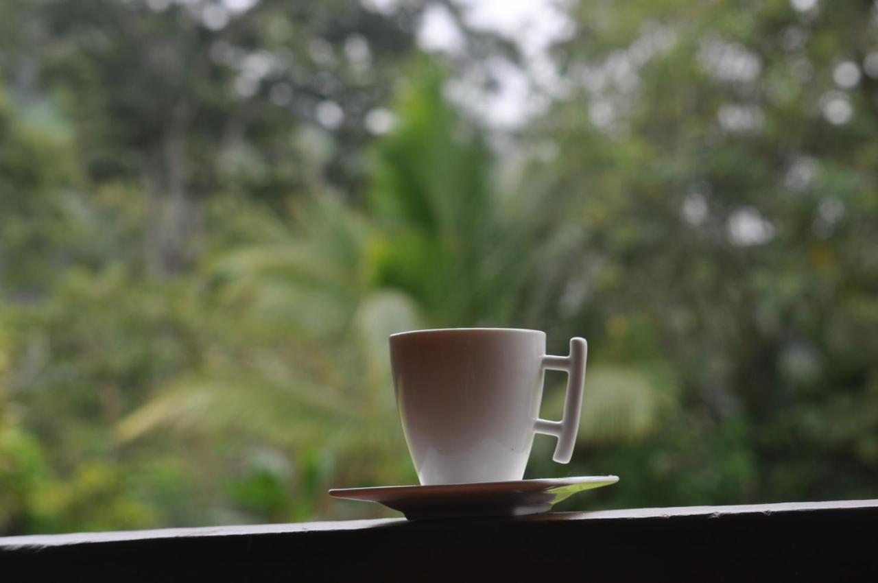 Hospedaje Amanecer Bed & Breakfast Turrialba Exterior photo