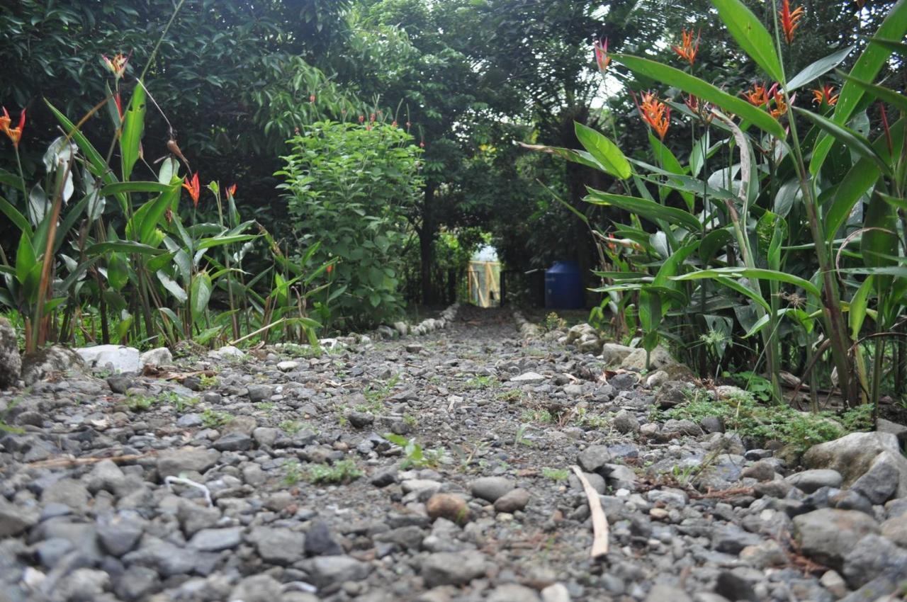 Hospedaje Amanecer Bed & Breakfast Turrialba Exterior photo