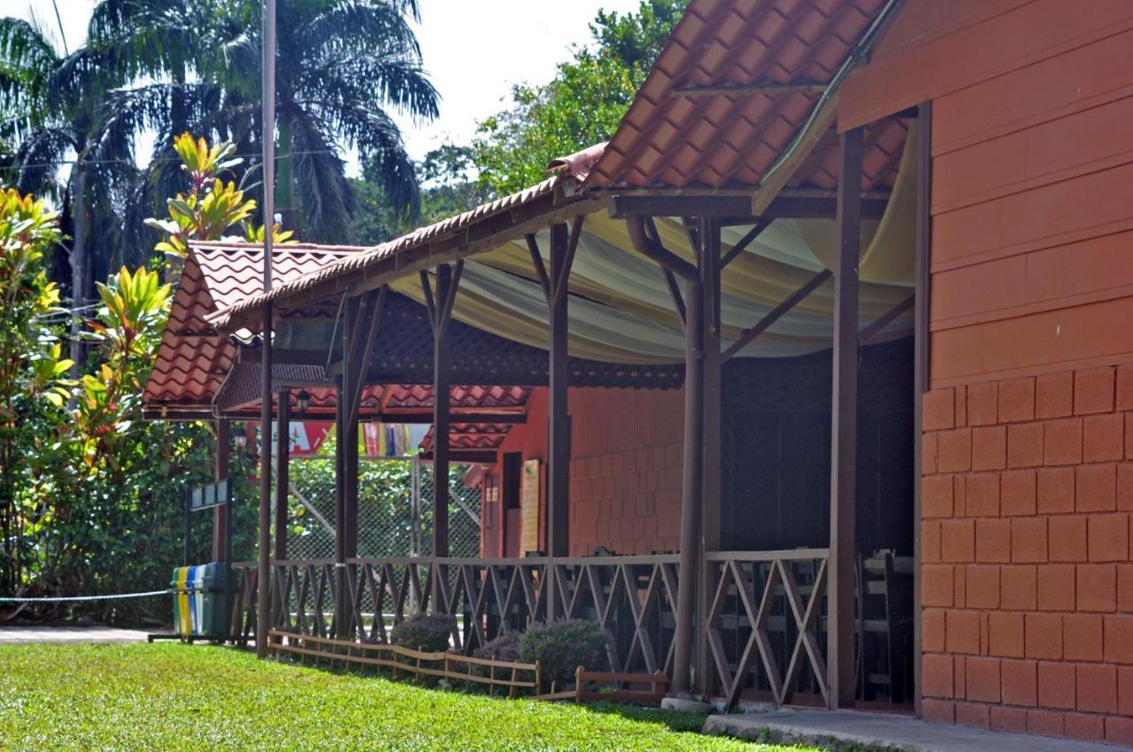 Hospedaje Amanecer Bed & Breakfast Turrialba Exterior photo